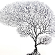 Brain_Tree_Rossi.jpg